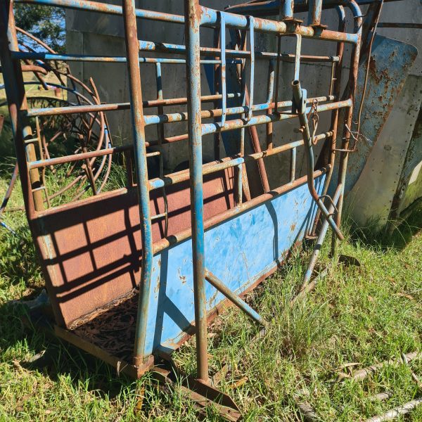 Cattle neck clamp and scale