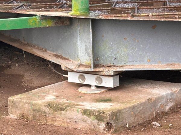 Cattle auction scale - Image 4