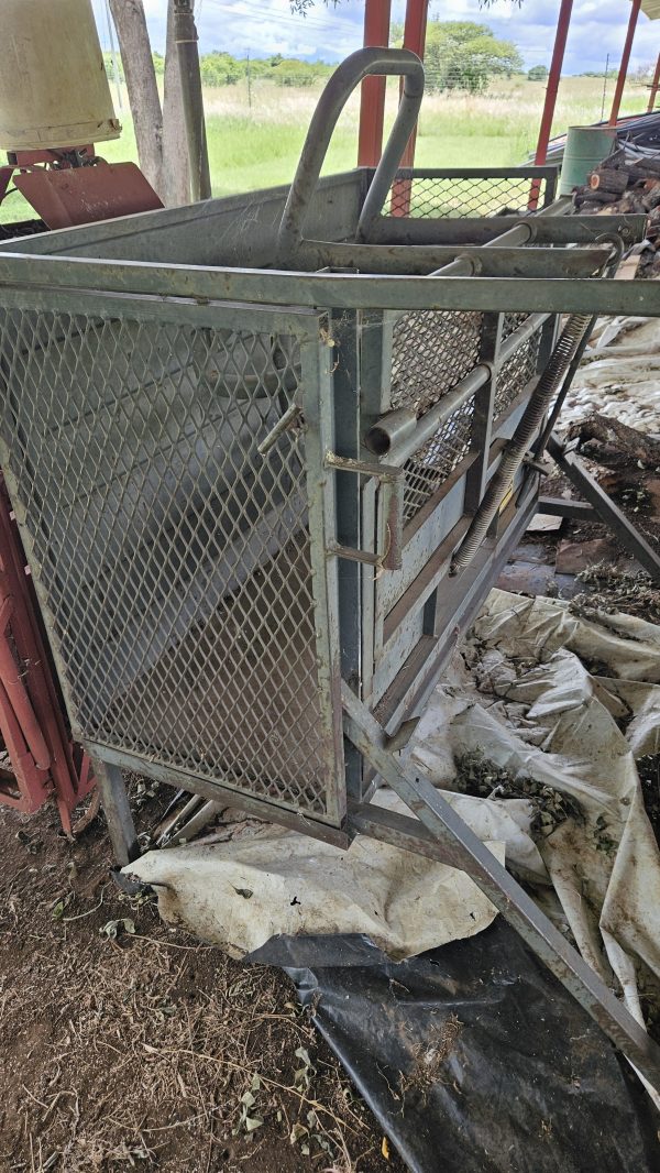 Sheep scale and tilt - Image 2