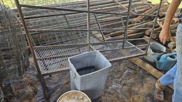 Sheep scale and tilt - Image 3