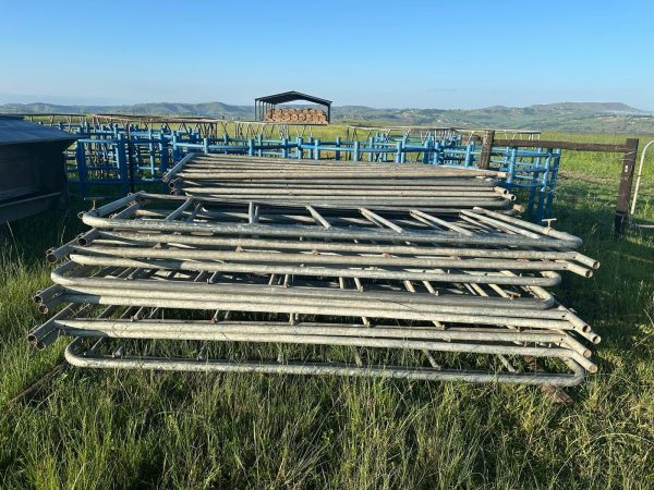 6x Calf creep feeders with gates - Image 3