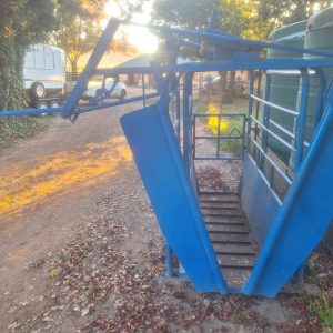 Cattle neck clamp and scale