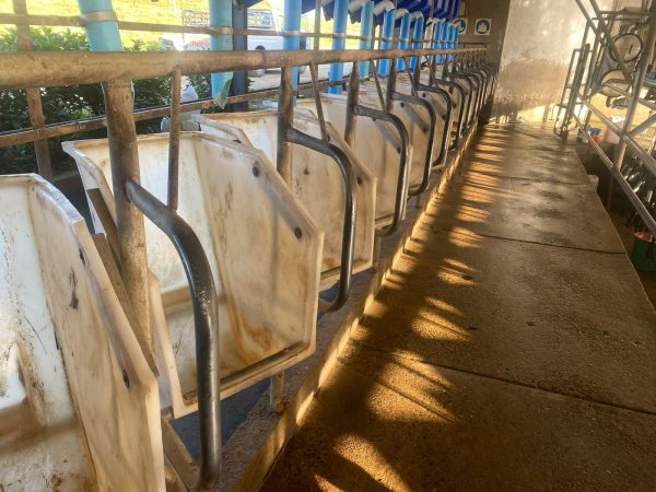 30x Plastic Waikato Dairy feed bins