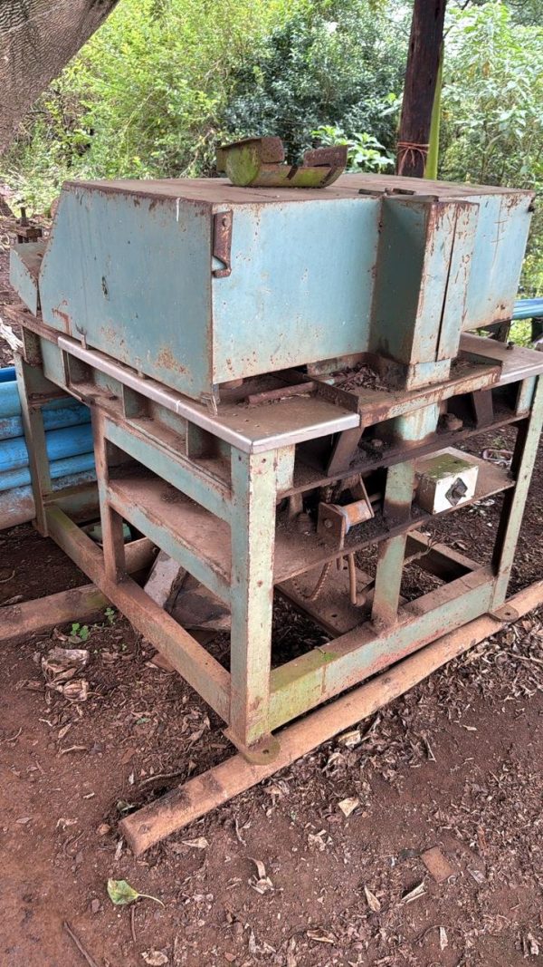 Multi rip saw
