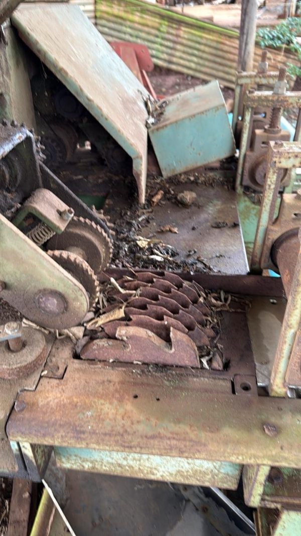Multi rip saw - Image 2