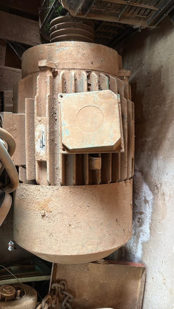 Multi rip saw - Image 3