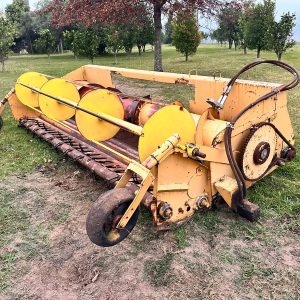 Bison sugar bean pick up