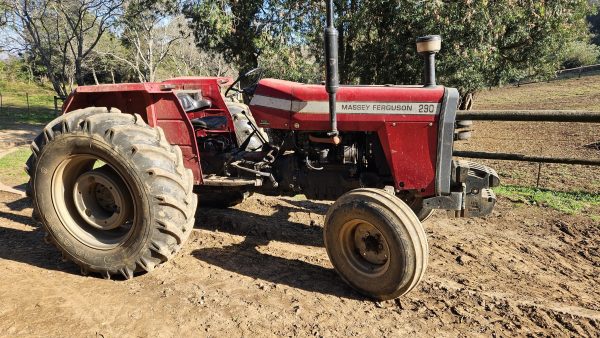 Massey ferguson 290 2wd - Image 4