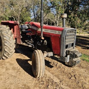 Massey ferguson 290 2wd