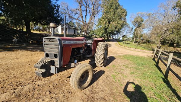 Massey ferguson 290 2wd - Image 2