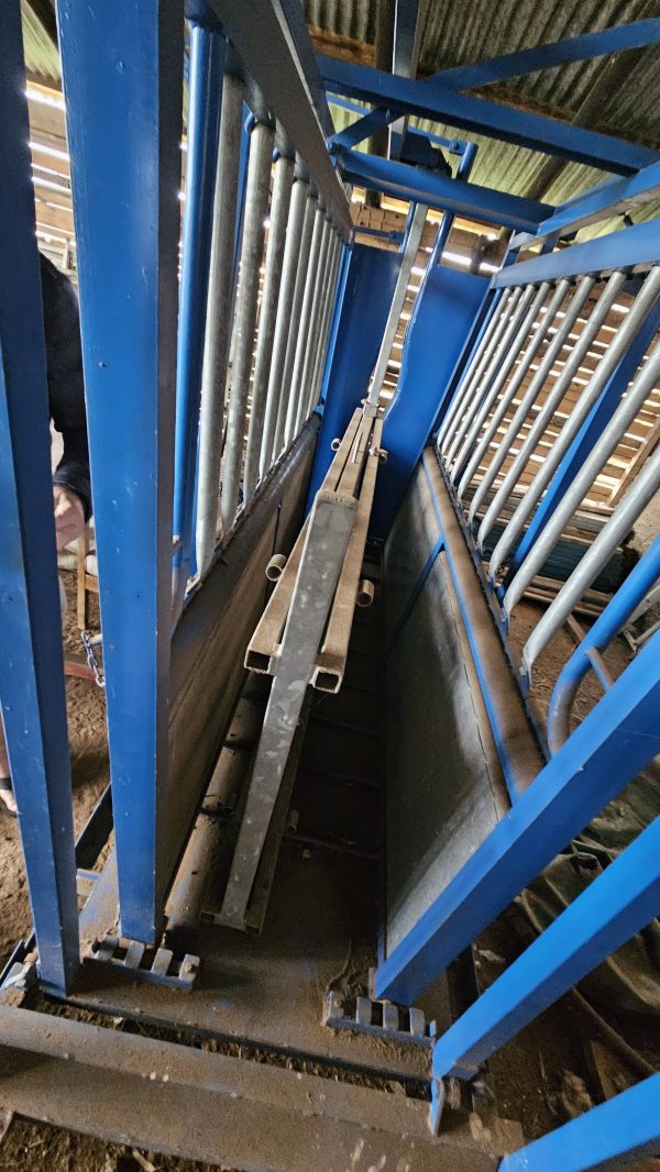 Cattle scale and neck clamp - Image 4