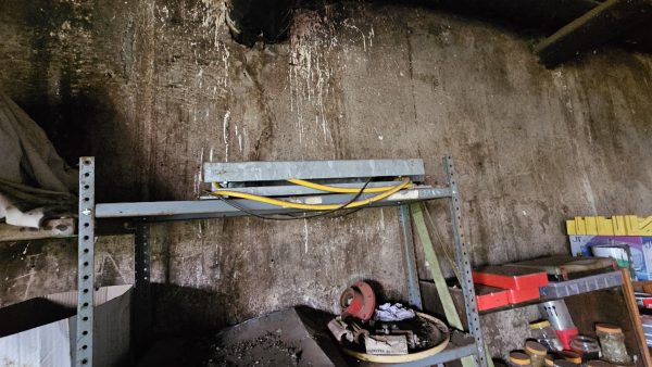 Cattle scale and neck clamp - Image 2