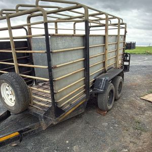 3 Ton cattle trailer