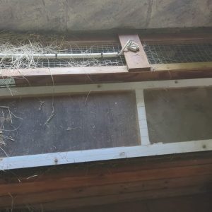 Brood box infrared light and feeders