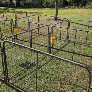 Sheep lambing pens