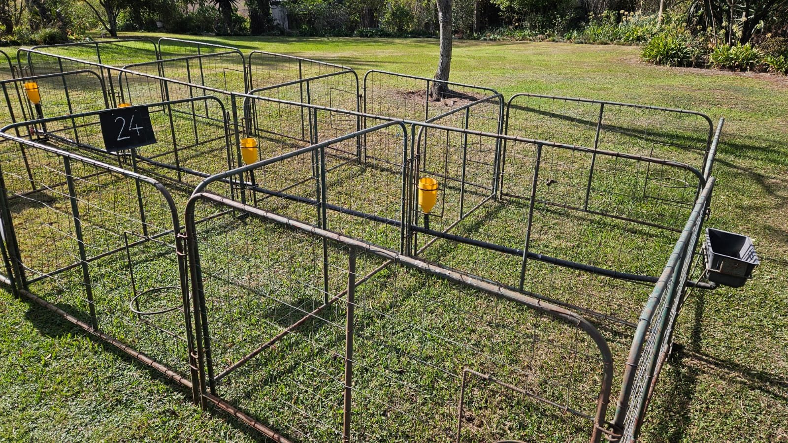 Sheep lambing pens