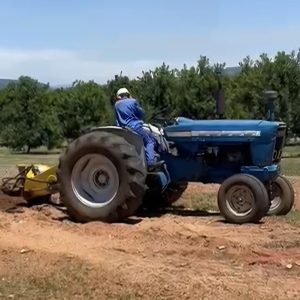 Ford 5000 with bellaco stump chipper