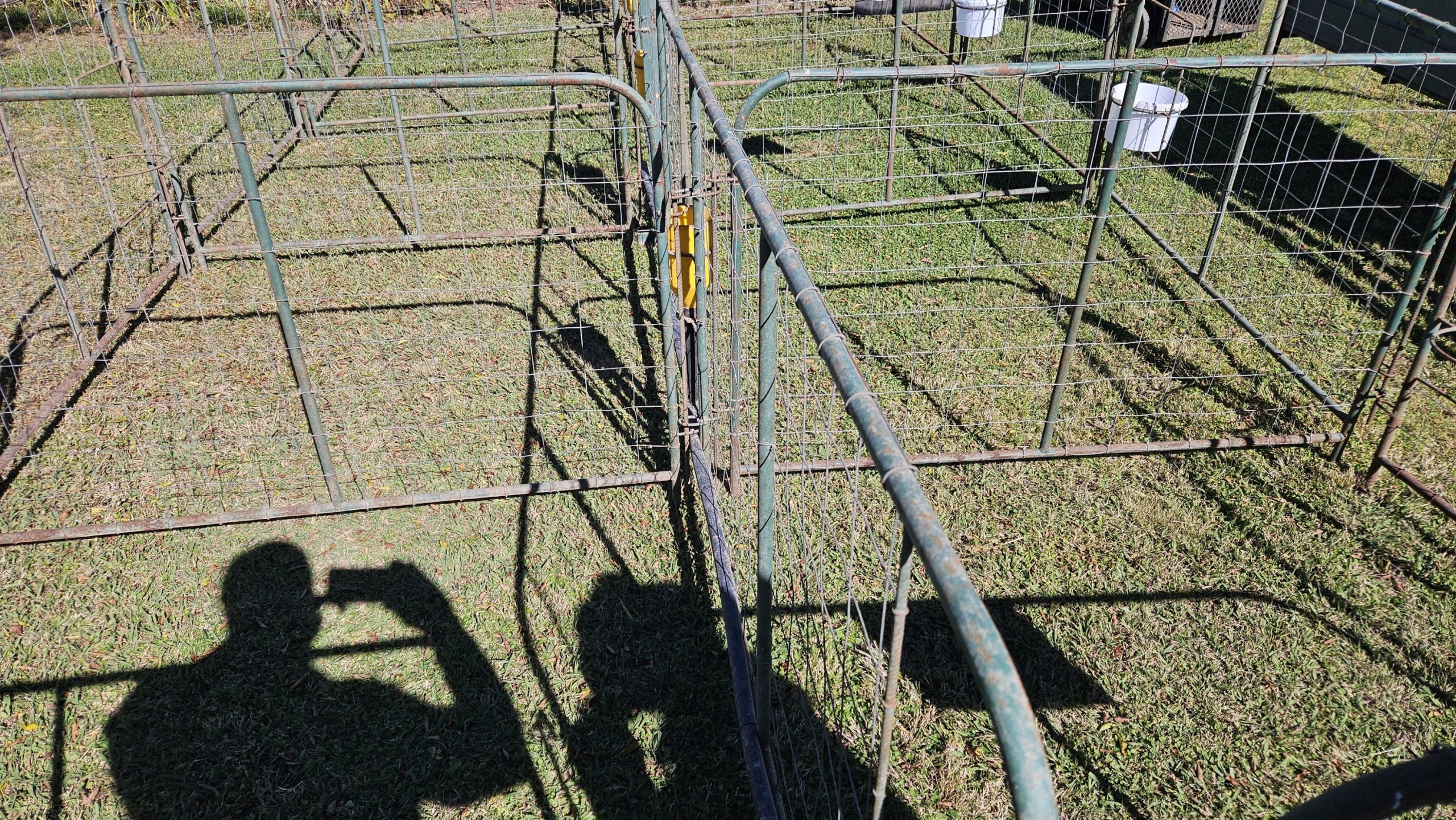 Sheep lambing pens - Image 5